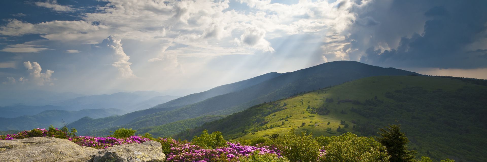 1920x640 LOCAL Asheville and Western North Carolina Real Estate