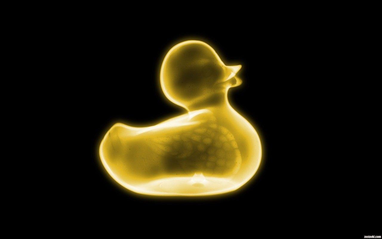 1280x800 Funny Duck Desktop Background Image
