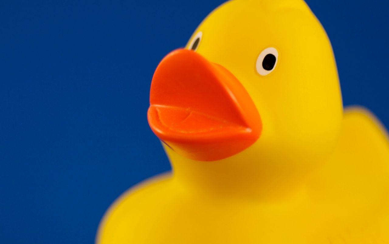 Yellow Duck Wallpapers - Top Free Yellow Duck Backgrounds - WallpaperAccess