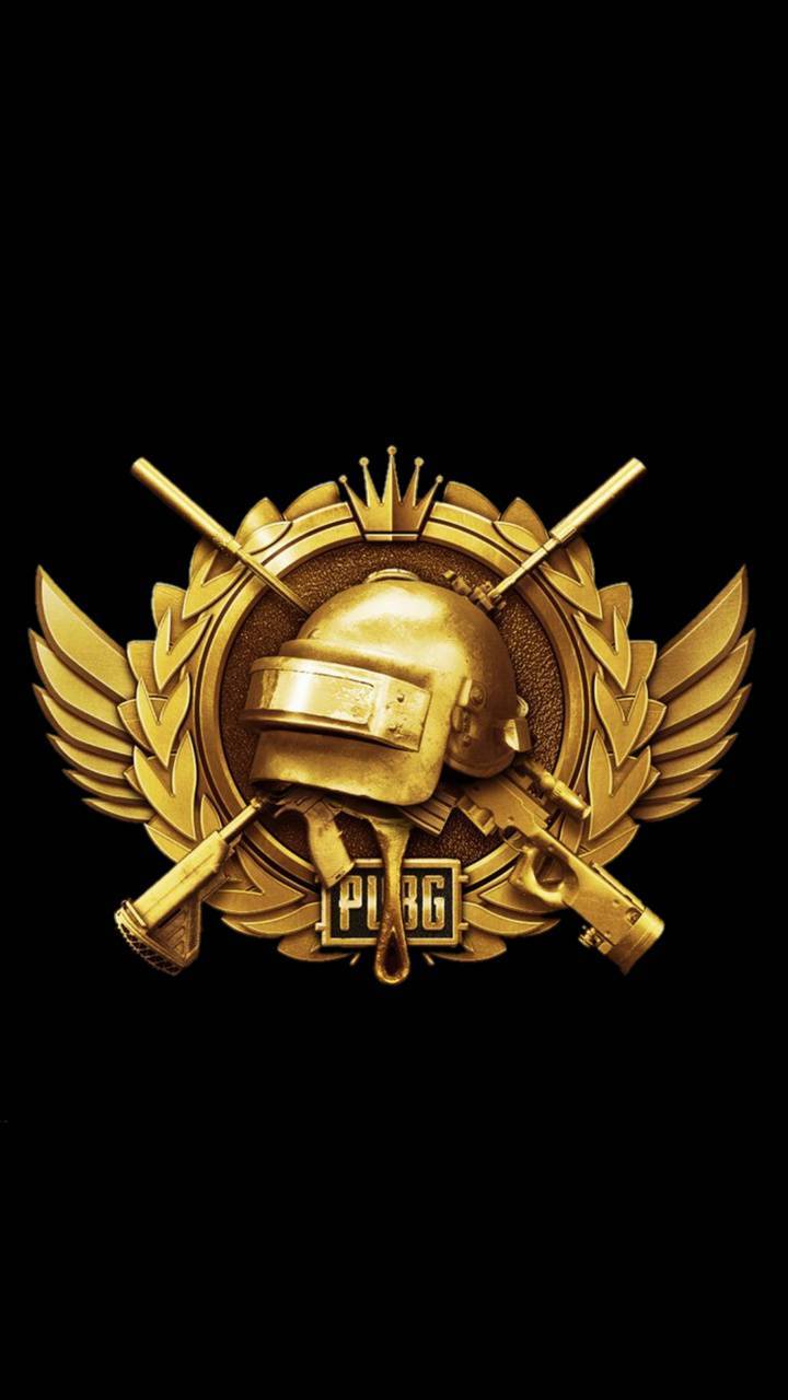 720x1280 Pubg wallpeper wallpaper