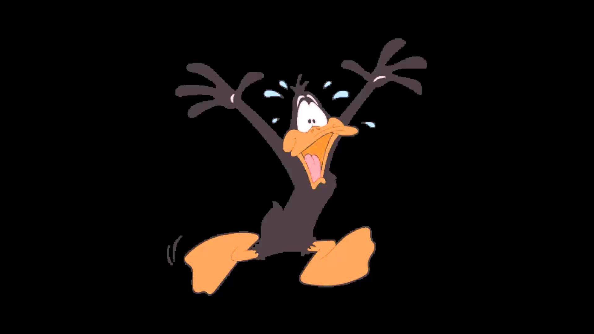 1920x1080 Daffy Duck Wallpaper