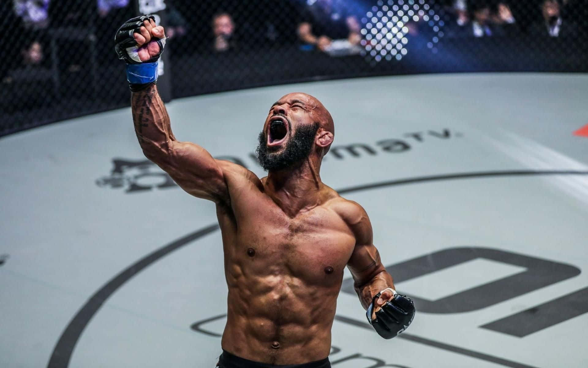 1920x1200 Demetrious Johnson Wallpaper