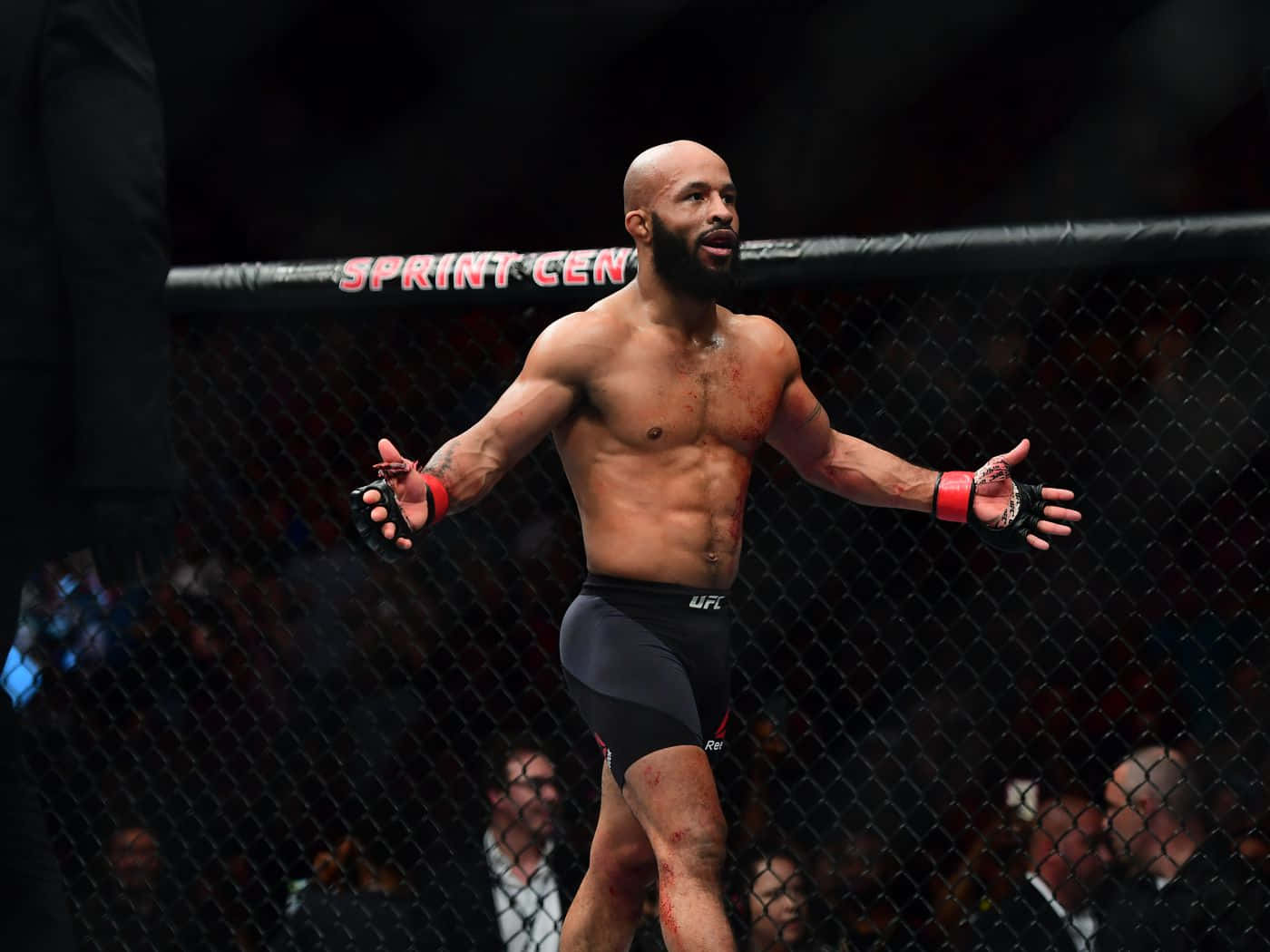 1400x1050 Download American Professional Mixed Martial Arts Fighter Demetrious Johnson Wallpaper