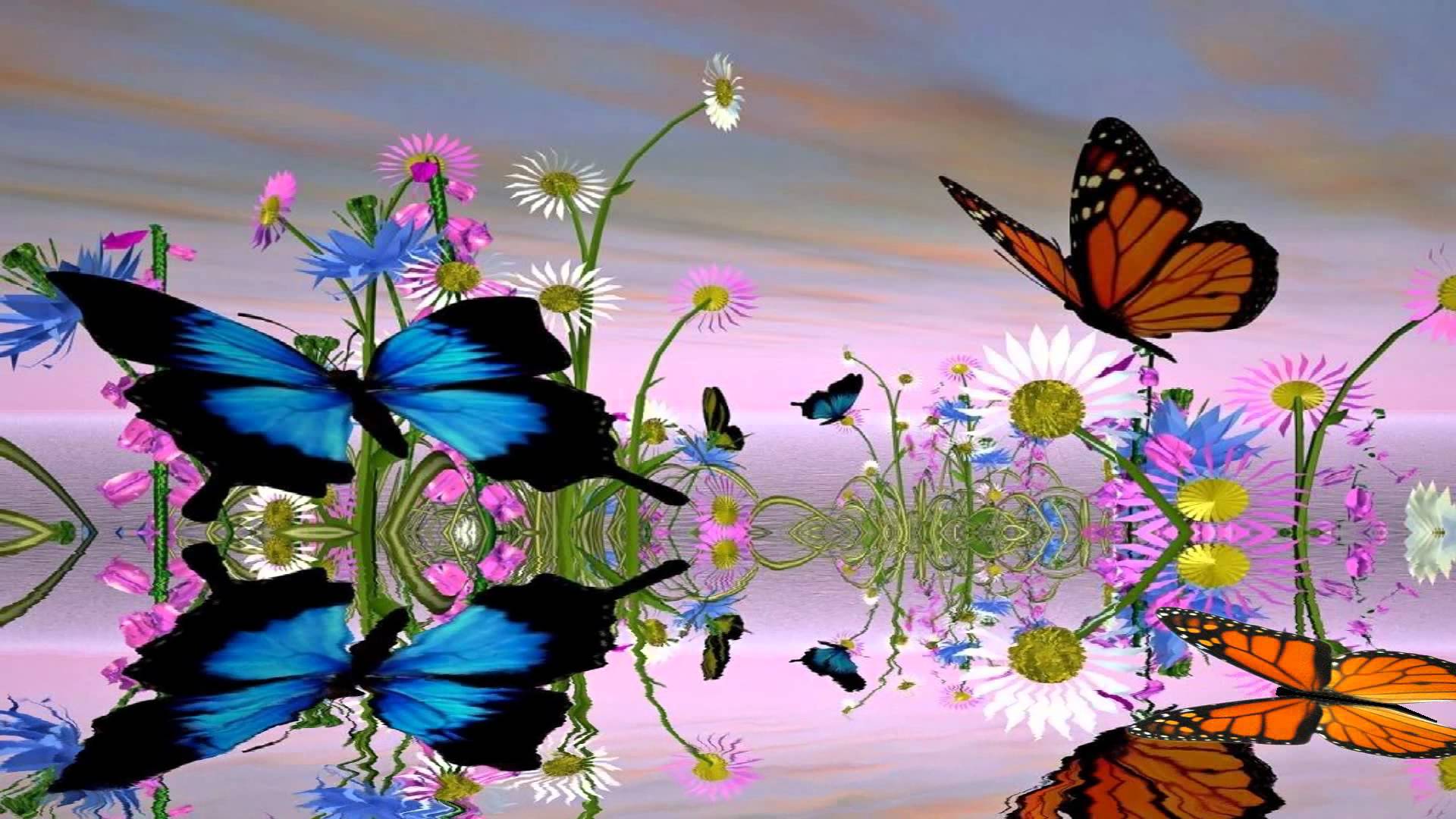 1920x1080 Hình nền hoạt hình tuyệt vời bướm