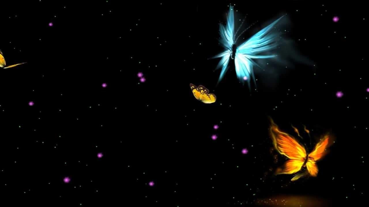 1280x720 Hình nền hoạt hình con bướm tuyệt vời - YouTube