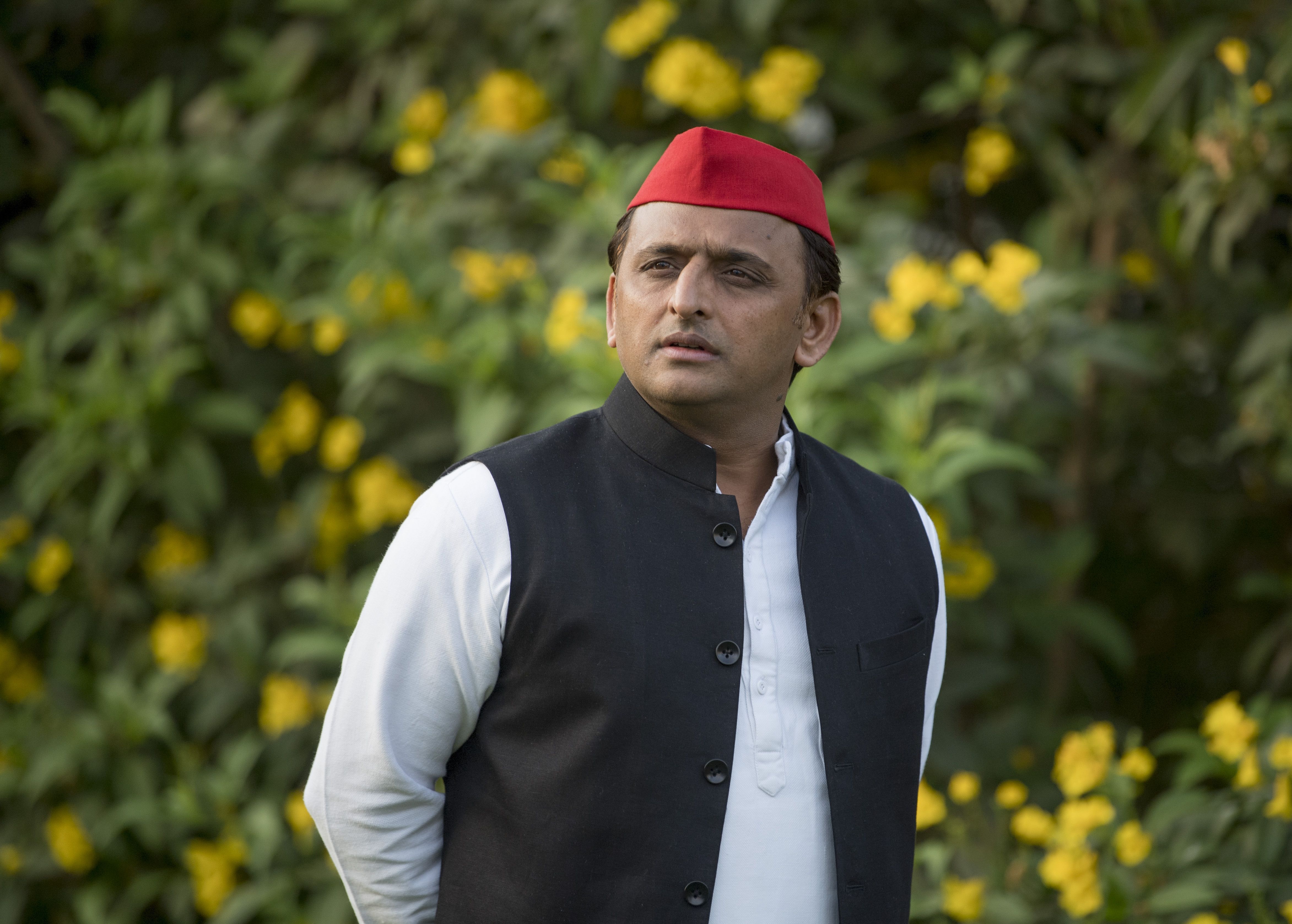 4690x3355 Party President. Samajwadi Party