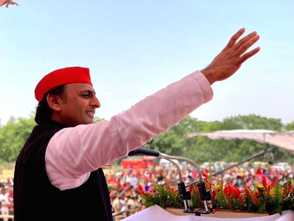 1024x768 Uttar Pradesh's tree plantation not increasing green cover
