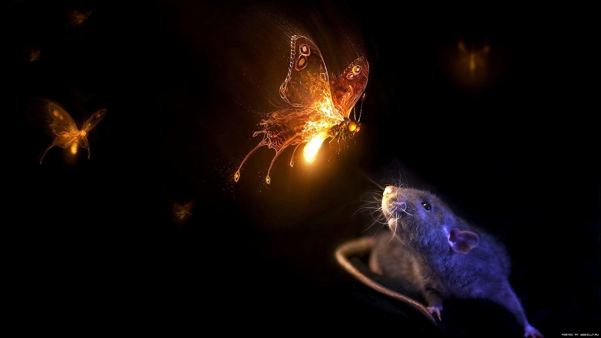 1920x1080 desktop animated wallpaper