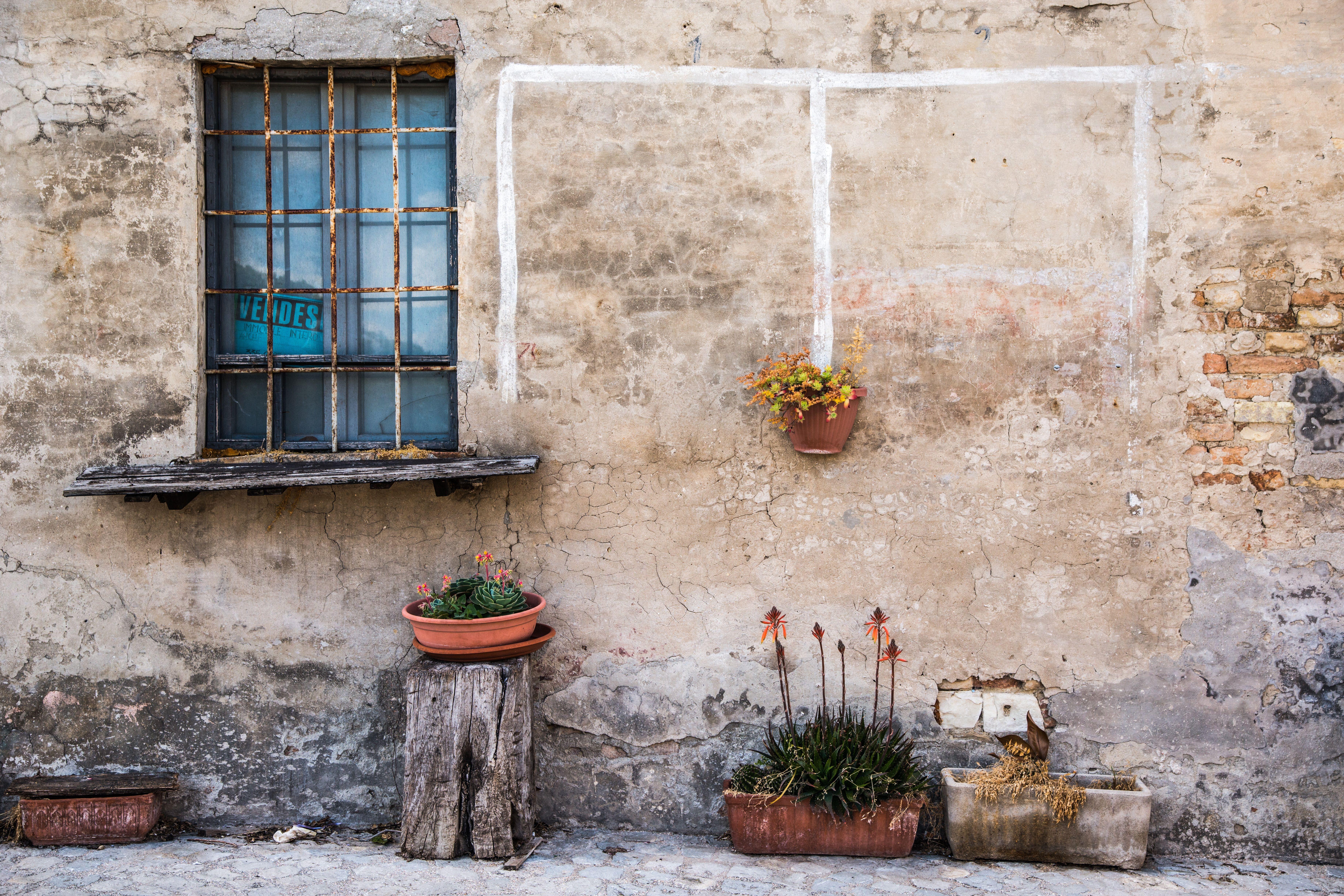 7360x4907 7360x4907 #Public domain image, #building, #exterior