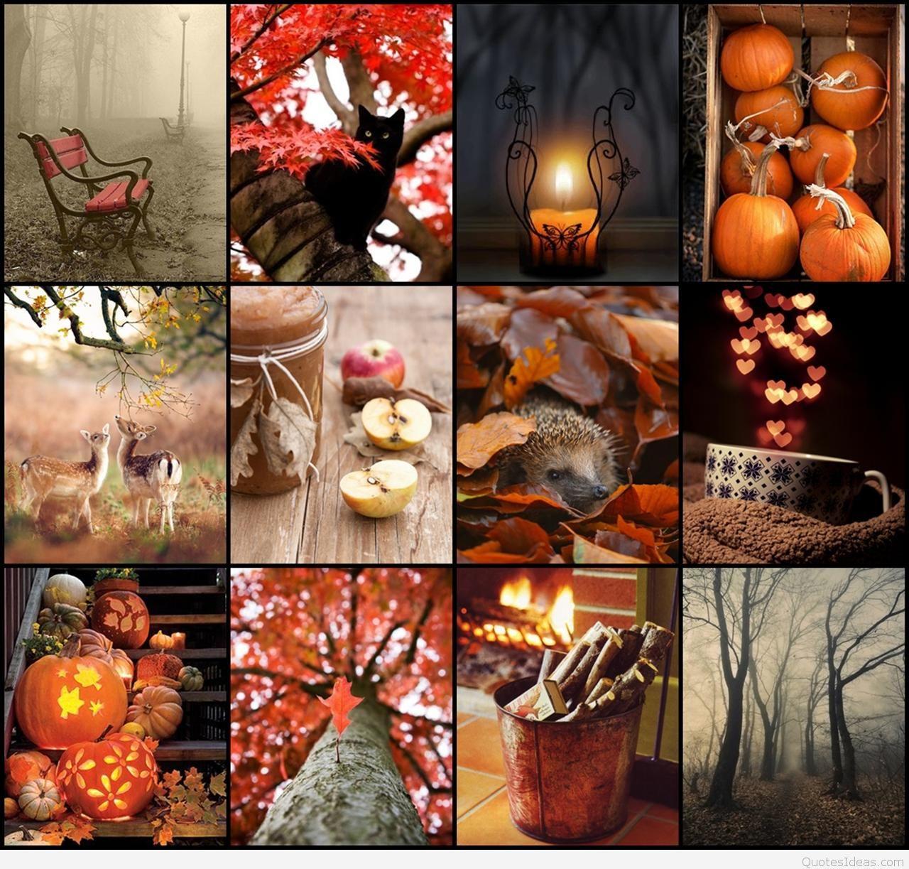 1280x1223 Goodbye Summer Hello Autumn Collage Deer HD Wallpaper