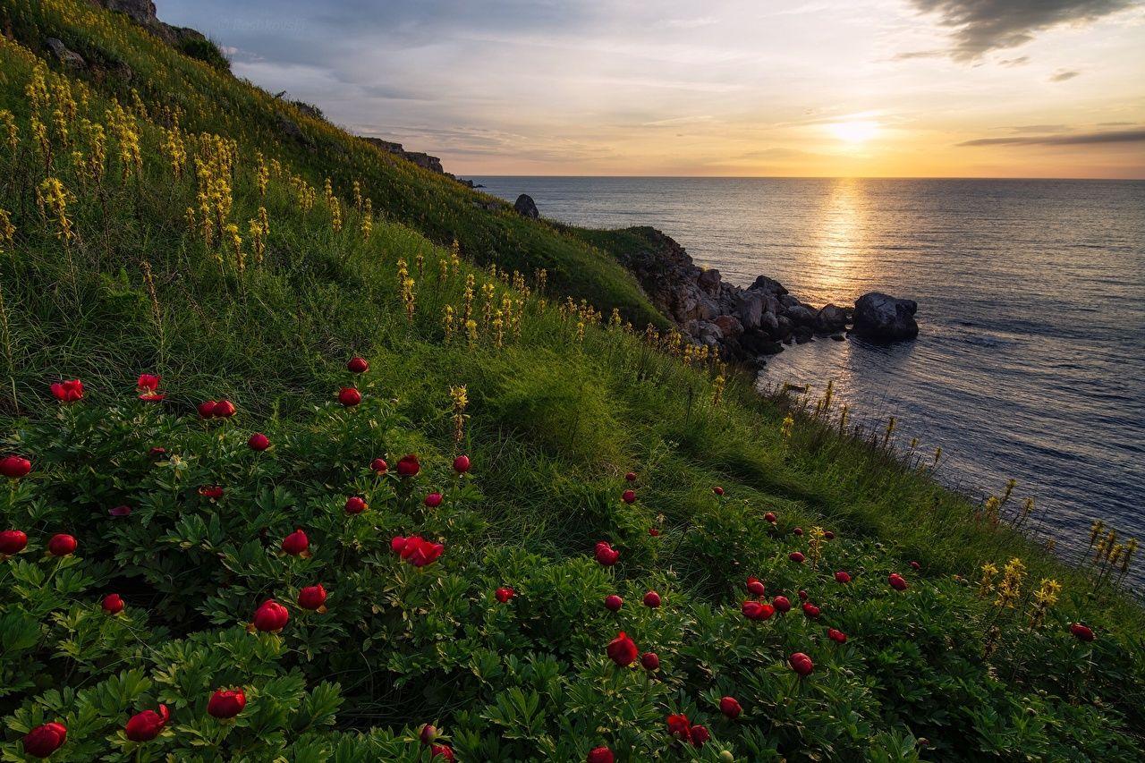 1280x853 Wallpaper Bulgaria Yaylata reserve Black sea Sea Nature Grasslands