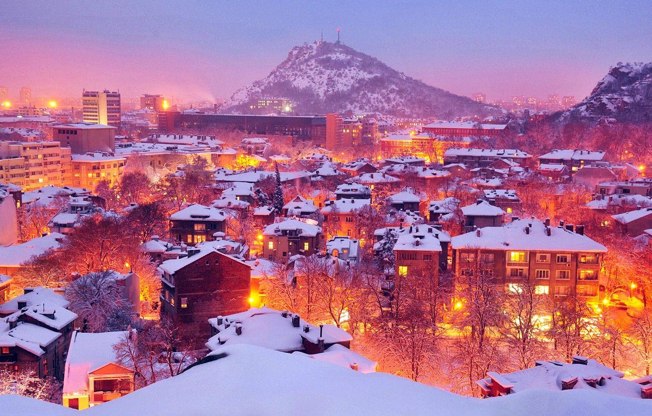 1332x850 Wallpaper winter, light, snow, trees, the city, lights, lights