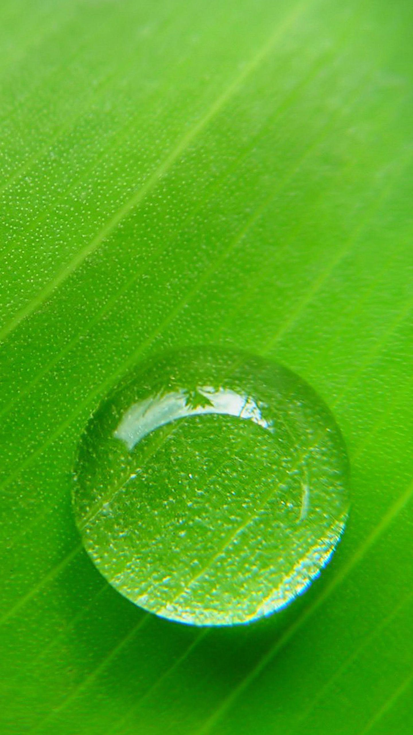 1440x2560 Stunning 79 HD Samsung Galaxy S6 Wallpaper With 1440 Samsung