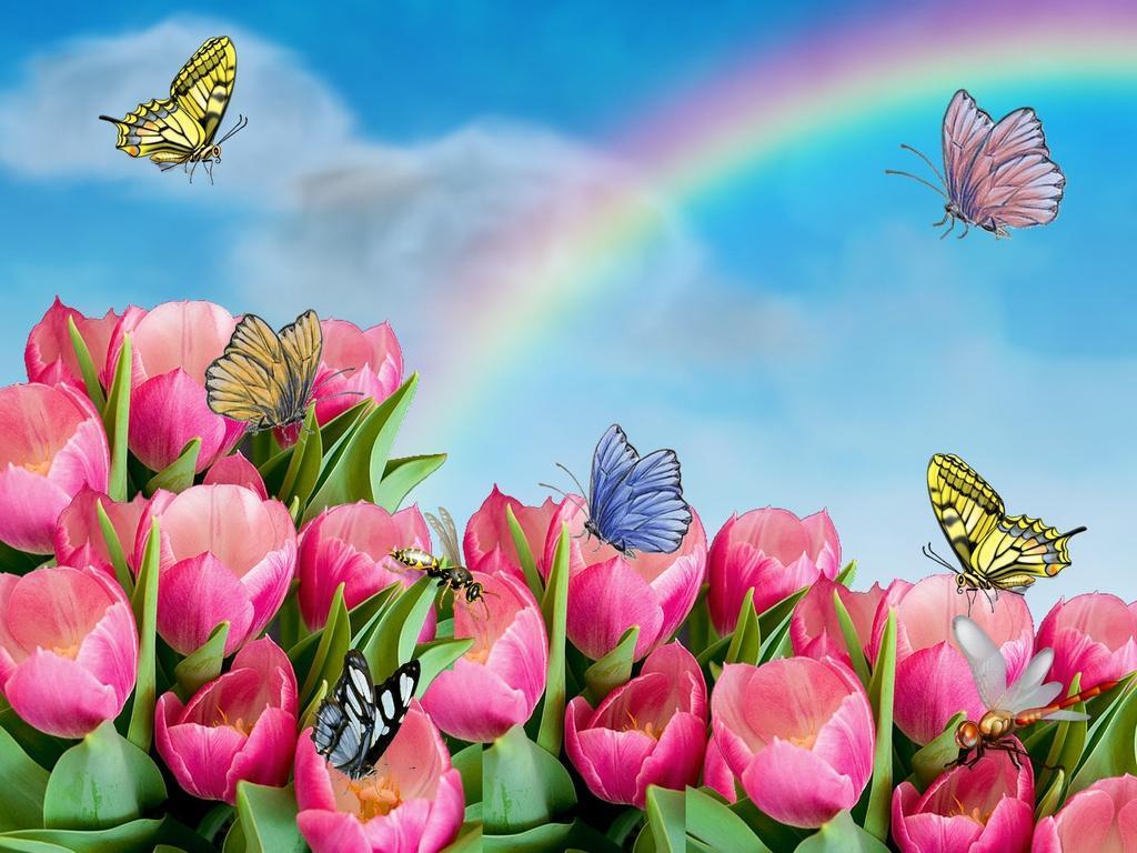 Animated Butterfly Wallpapers - Top Free Animated Butterfly Backgrounds ...