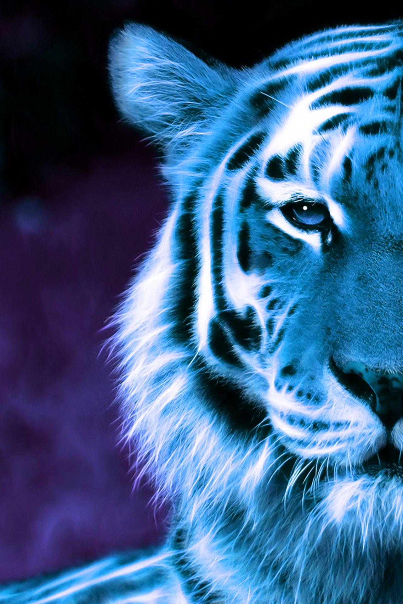 Electric Blue Tiger wallpaper by YomiKiyomi  Download on ZEDGE  a1e2