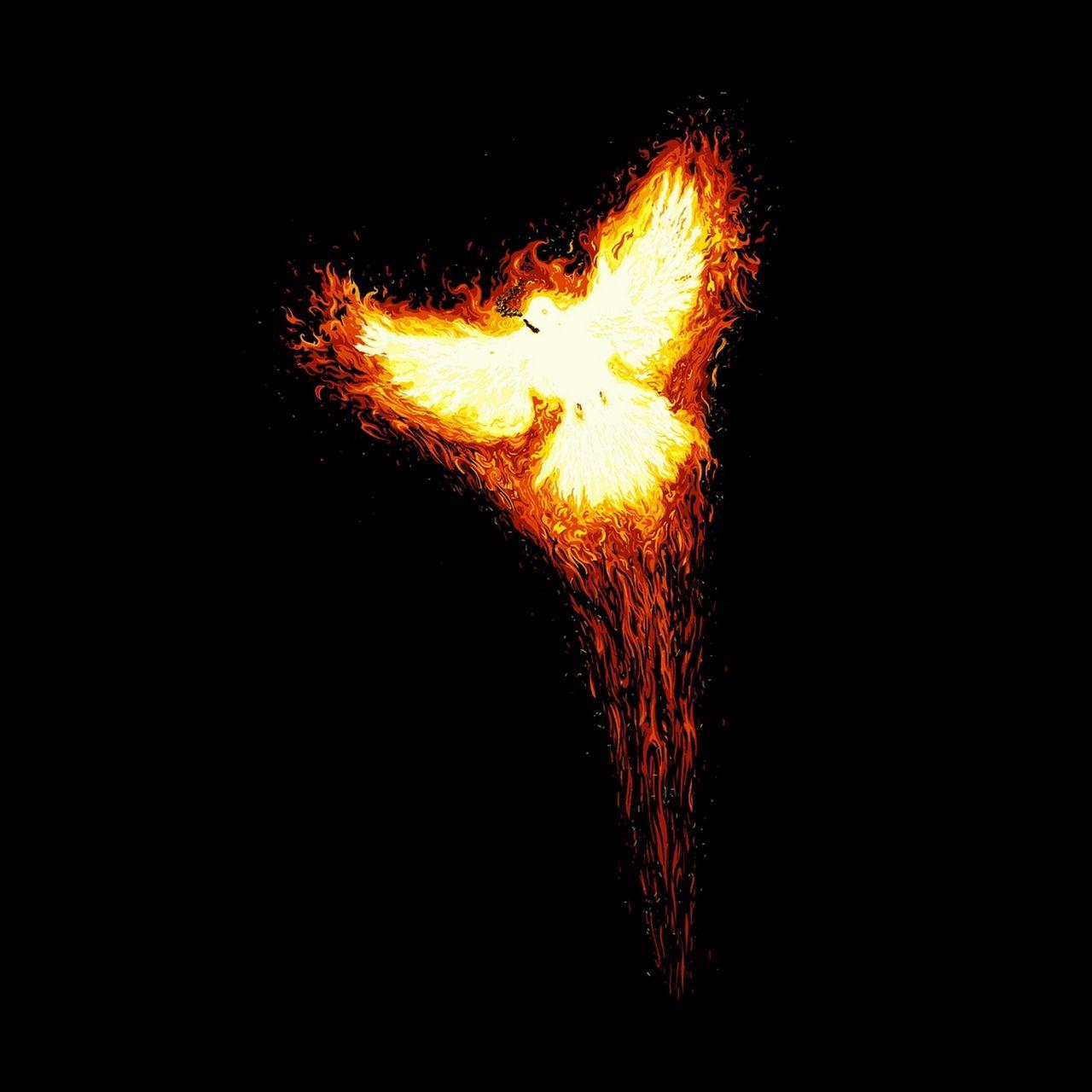 1280x1280 Download wallpaper 1280x1280 rise, myth, fire, bird, phoenix
