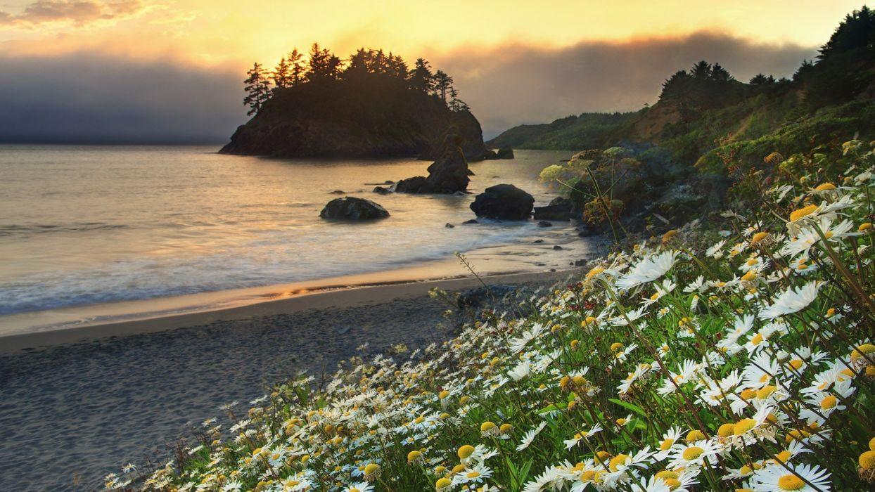 1244x700 Landscapes California Trinidad beaches wallpaperx1080