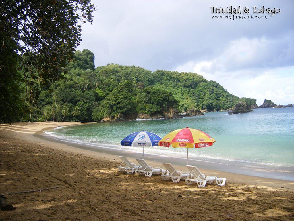 1024x768 Trini Jungle Juice: Free Desktop Wallpaper Themes