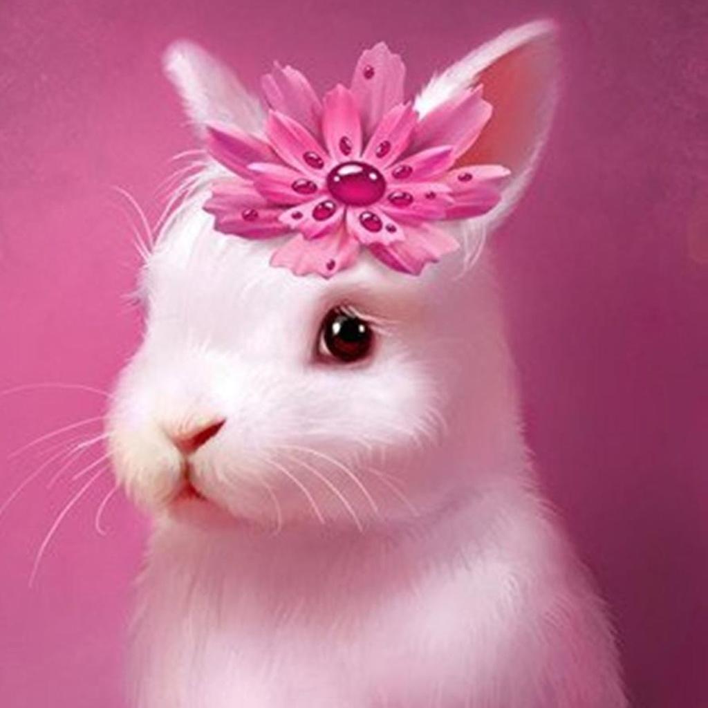 Cute Cartoon Bunny Wallpapers - Top Những Hình Ảnh Đẹp