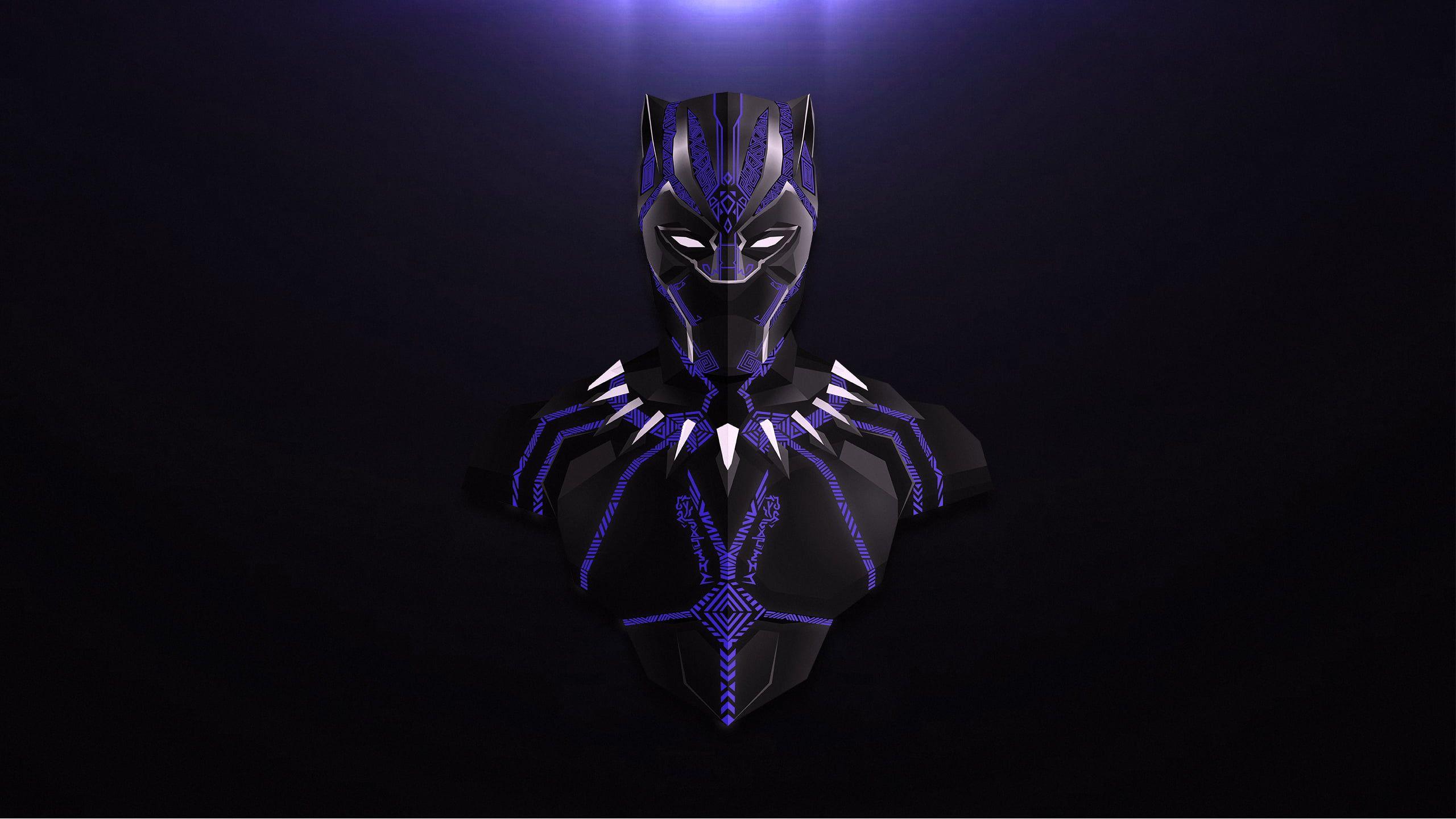 2560x1440 Marvel Black Panther, Black Panther, Avengers: Infinity War, Marvel Comics HD wallpaper