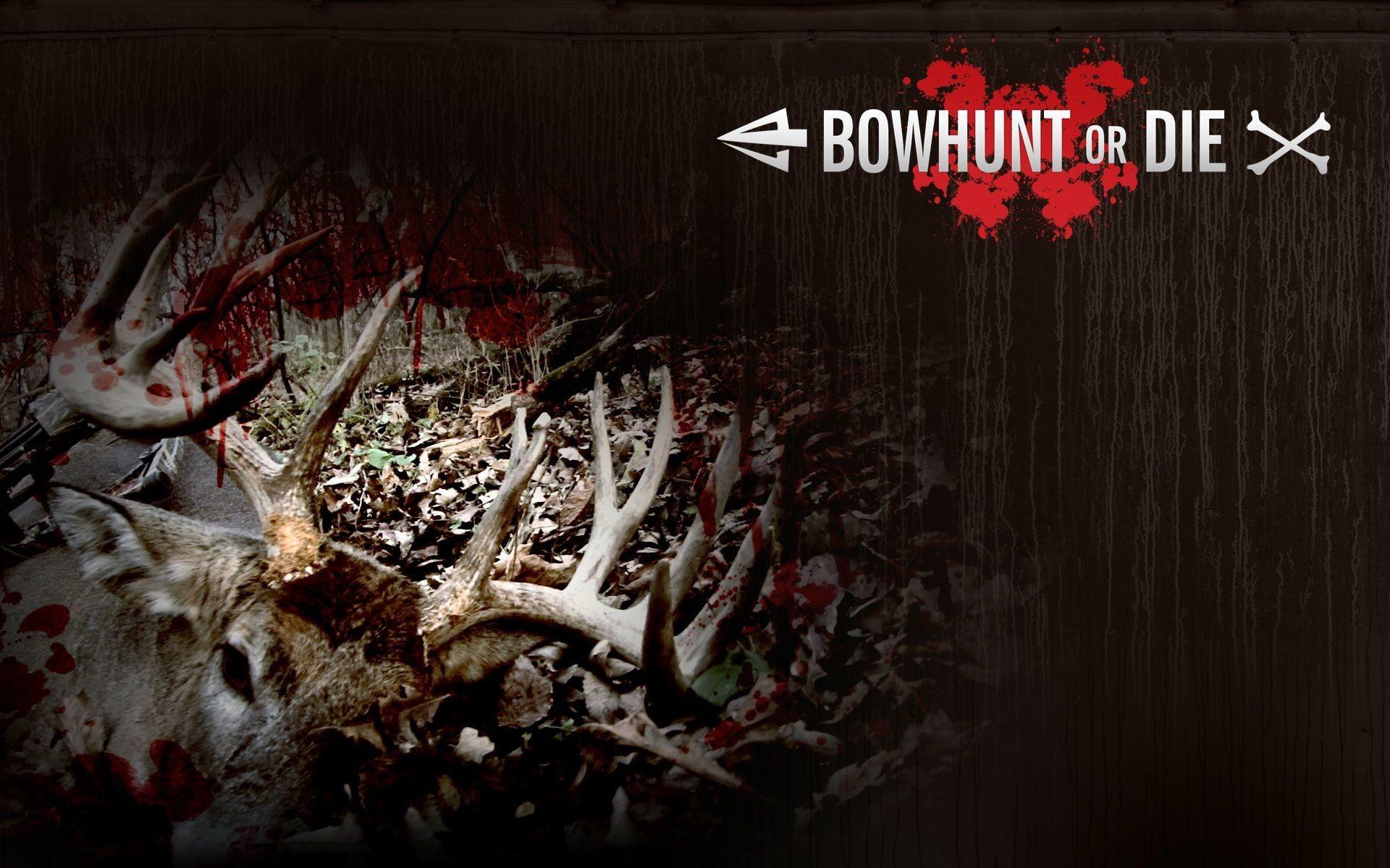 1920x1200 Pse Archery Wallpaper
