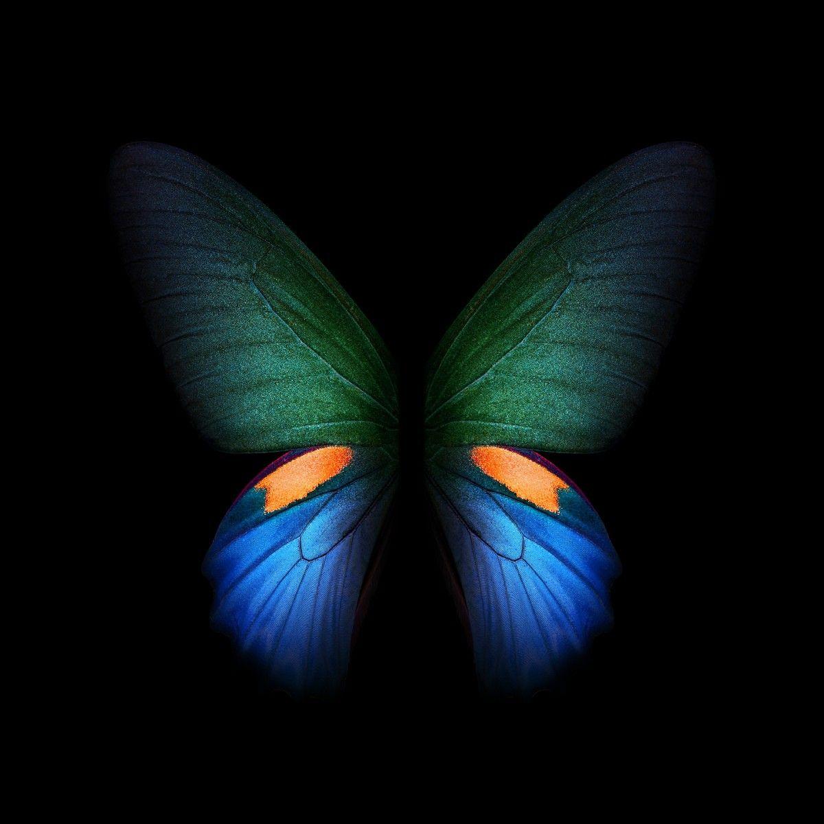 1200x1200 Here are all of the official wallpaper from the Samsung Galaxy Fold