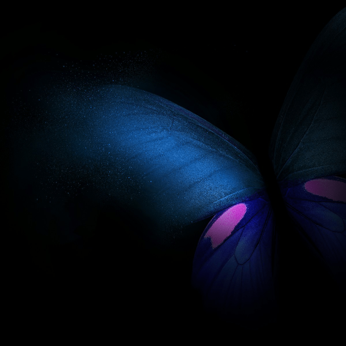 1200x1200 Customize your smartphone with the Samsung Galaxy Fold's wallpaper