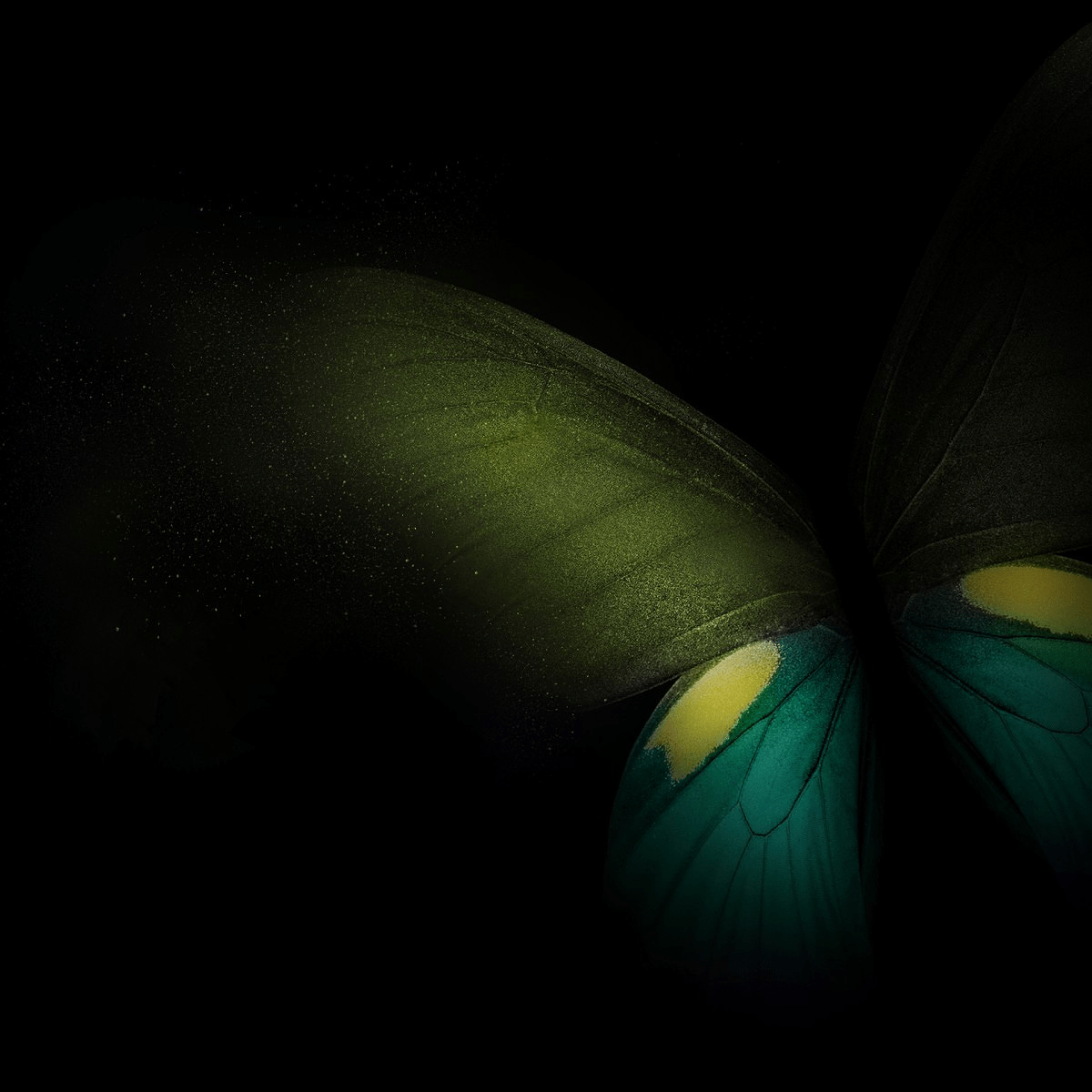 1200x1200 Customize your smartphone with the Samsung Galaxy Fold's wallpaper