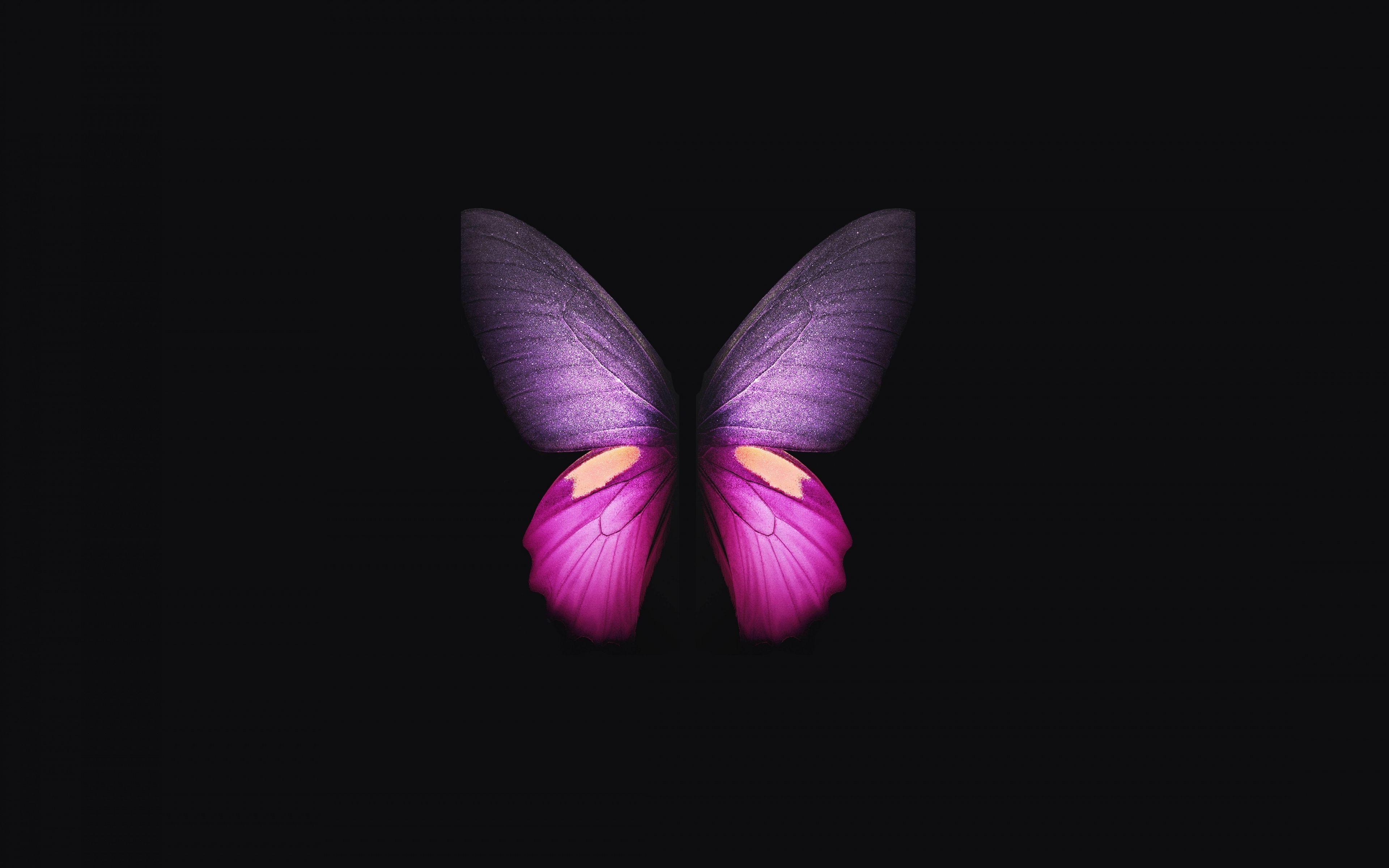 3840x2400 Samsung Galaxy Fold Photo, Beautiful Samsung Galaxy Fold Wallpaper