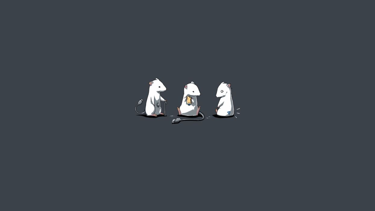 Funny Minimalist Art Wallpapers - Top Free Funny Minimalist Art