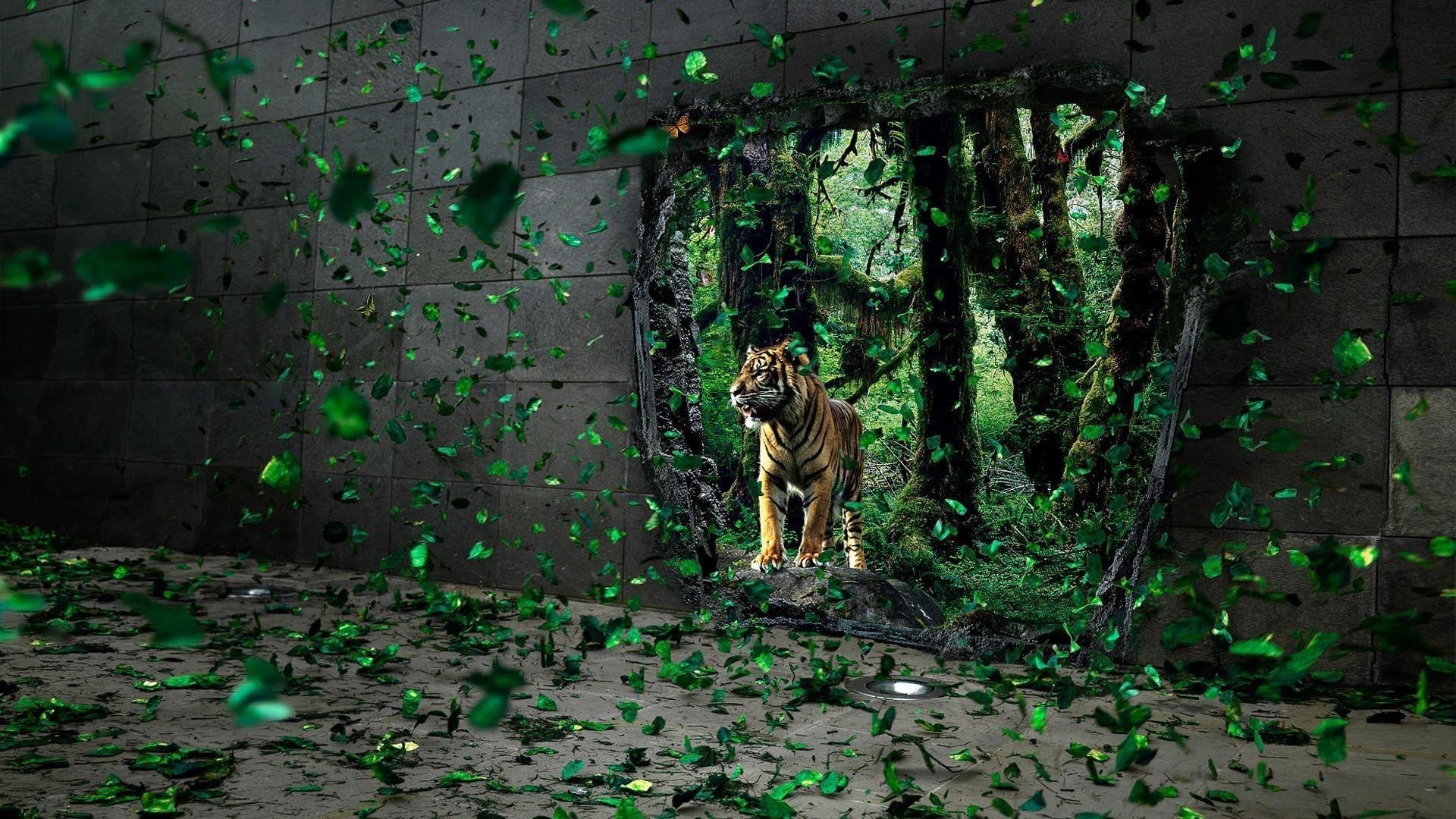 1920x1080 Tiger in the broken wall, green leaves