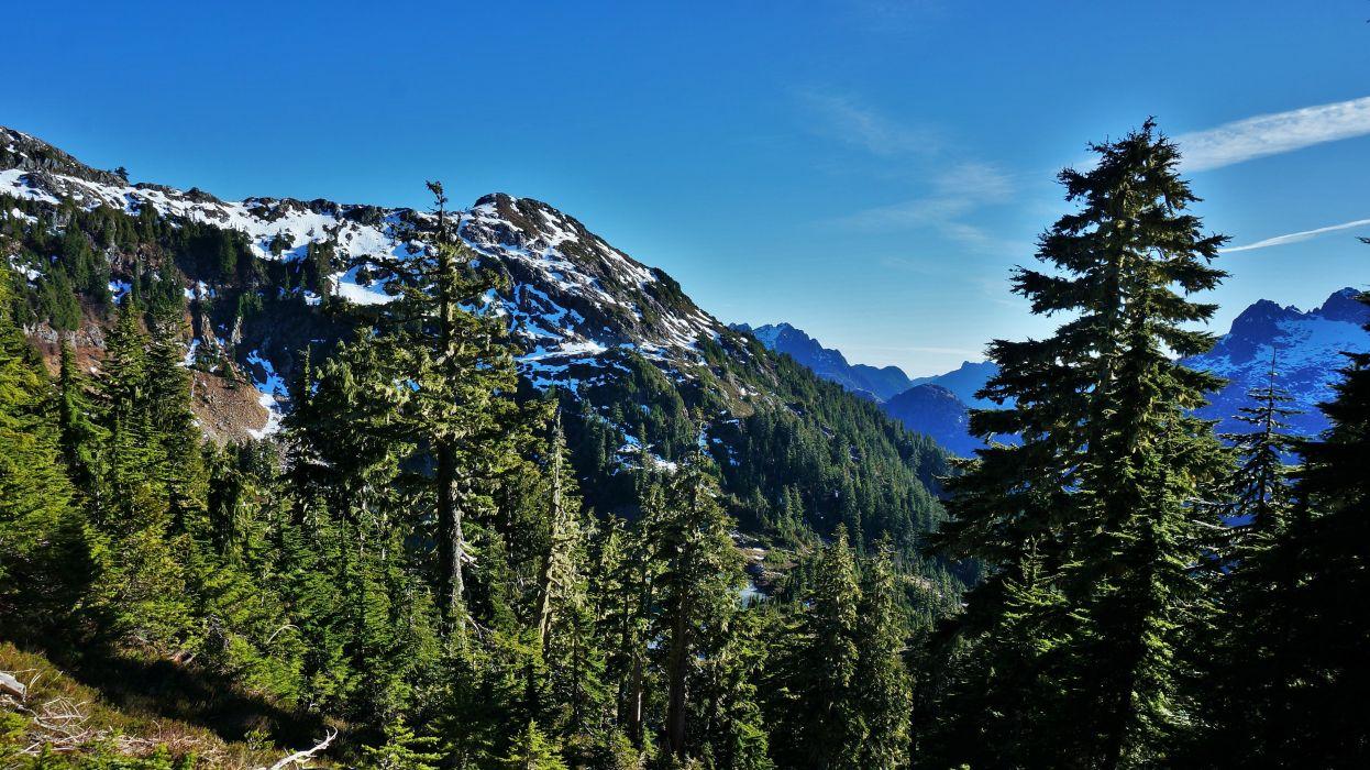 1246x700 Forest mountains trees Canada British Columbia Vancouver Island
