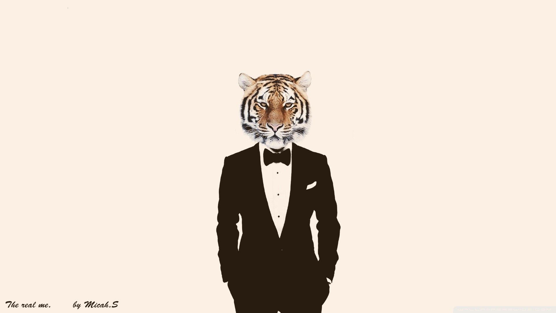 1920x1080 Tiger Wallpaper HD Free Download