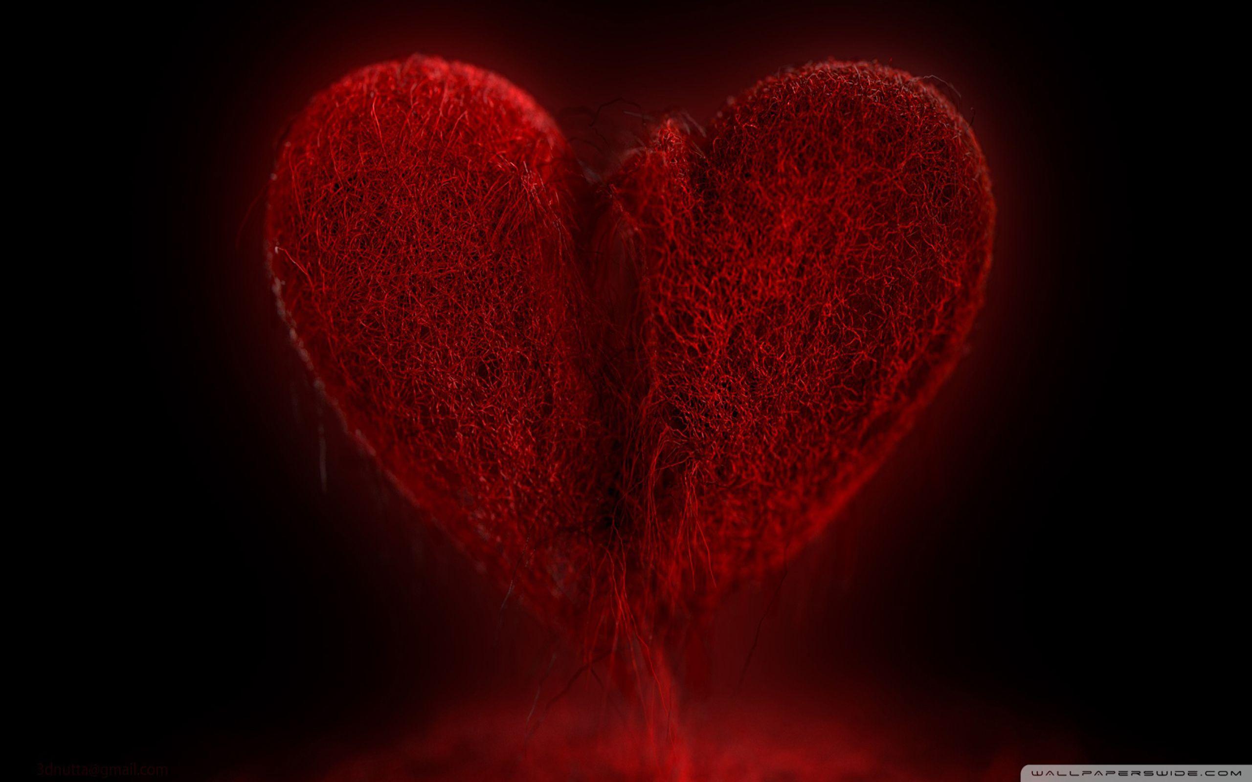 2560x1600 Broken Heart Wallpaper 2560x1600 :