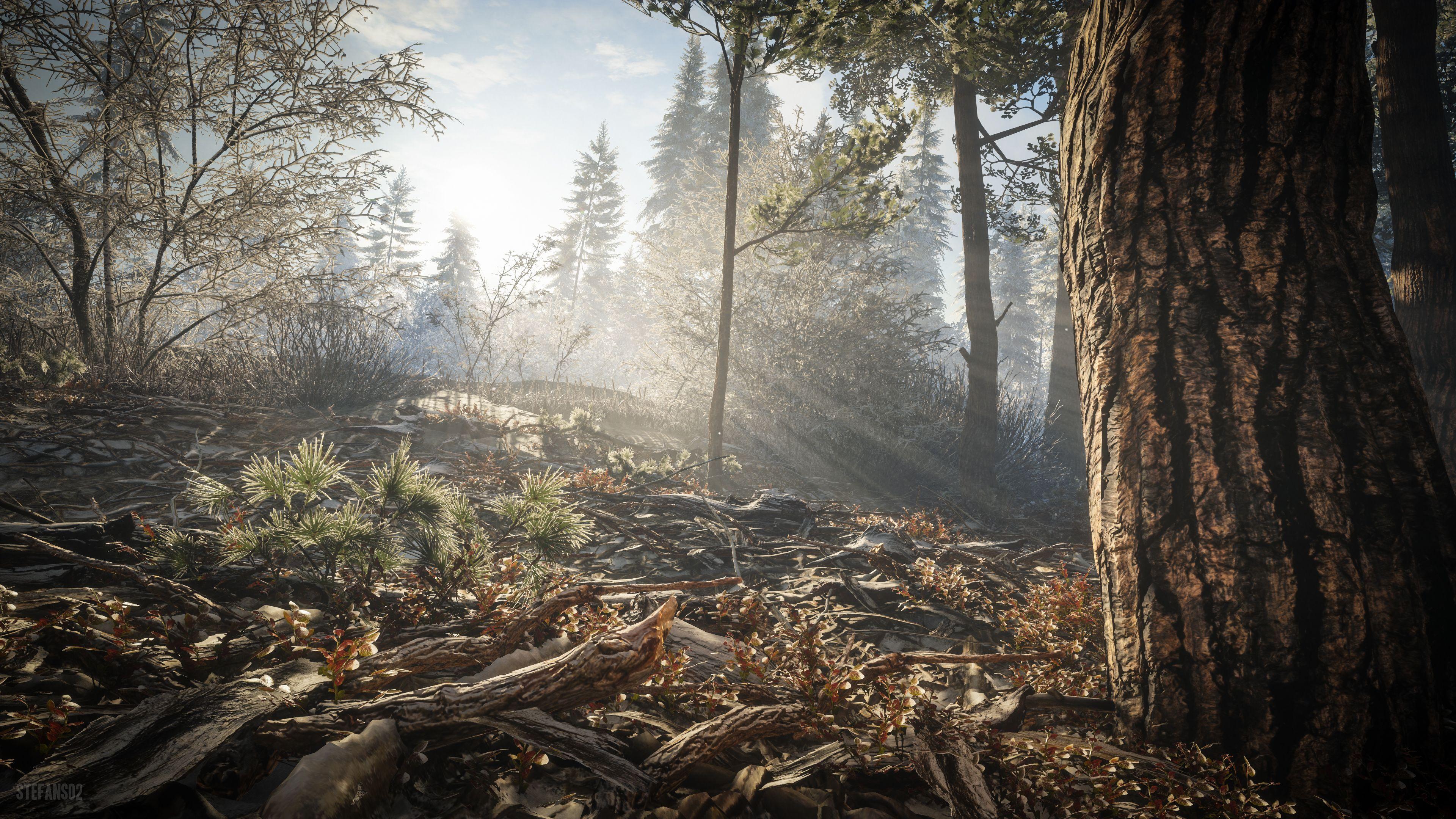 3840x2160 TheHunter: Call of the Wild / On The Ground 4k Ultra HD Wallpaper