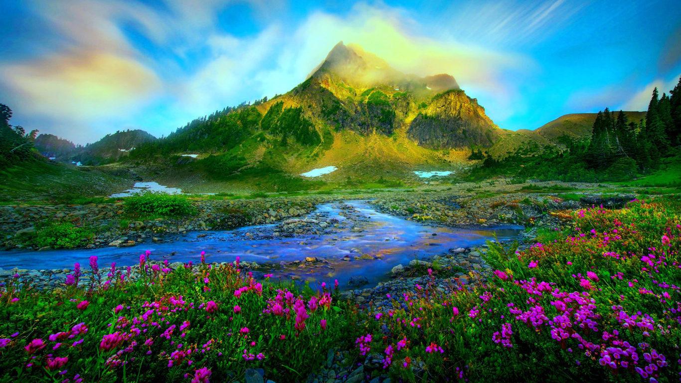 1366X768 Nature Wallpapers - Top Free 1366X768 Nature Backgrounds