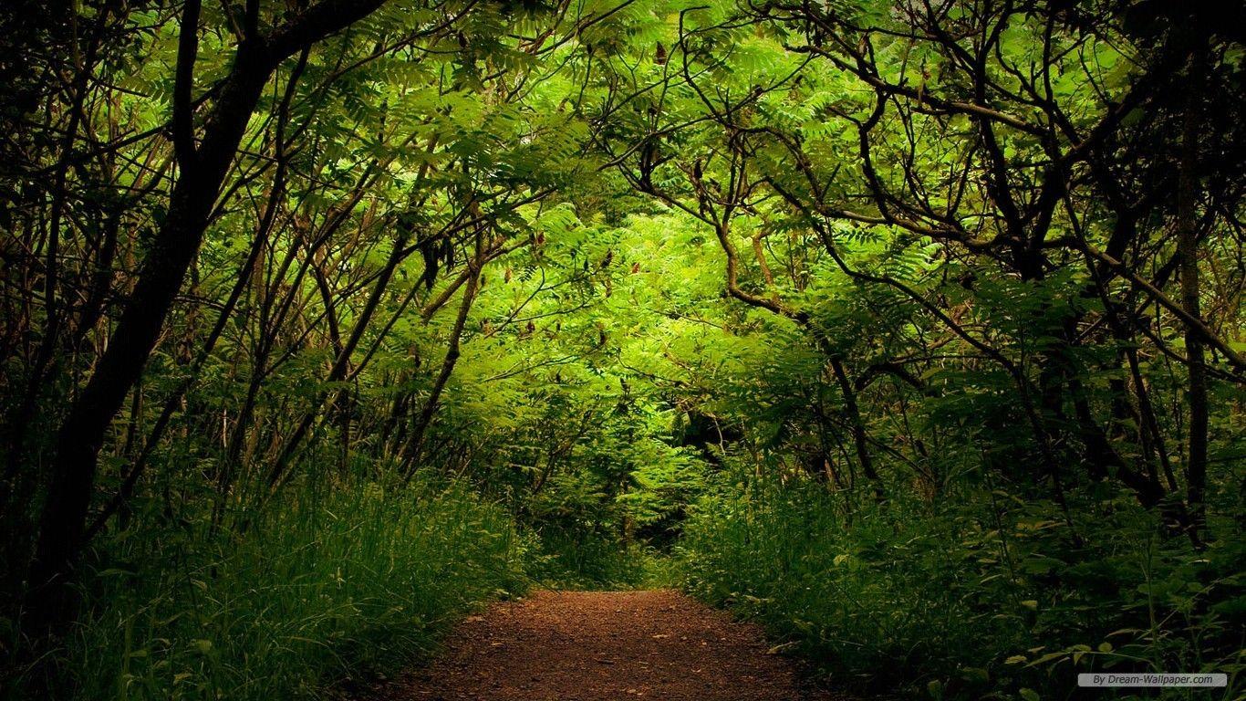 1366x768 Free Wallpaper Nature wallpaper Landscape 2 wallpaper