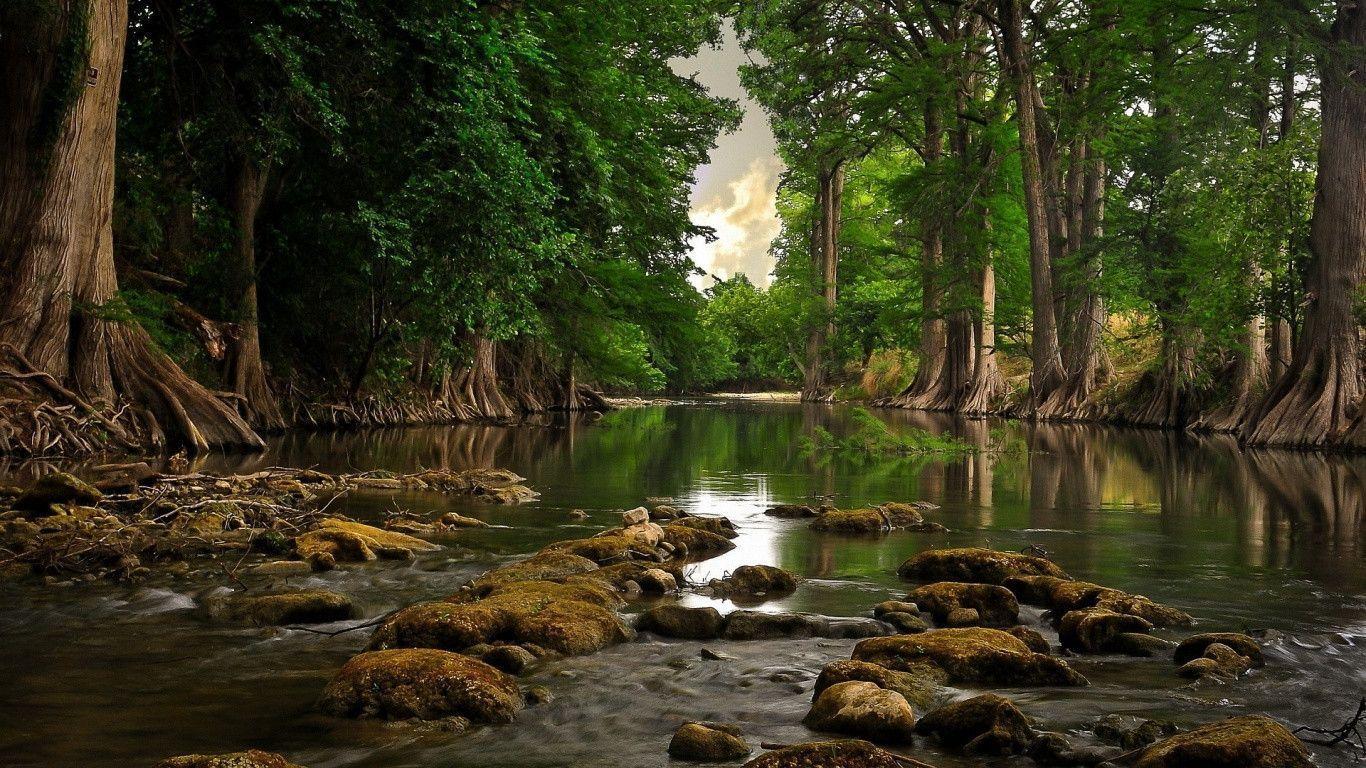 1366x768 HD Wallpaper