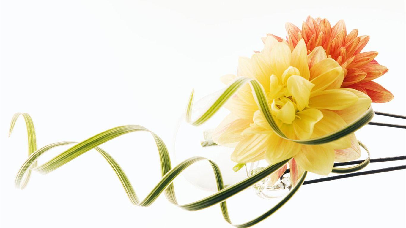 1366x768 Wedding Flowers Wallpaper (3) Wallpaper Download