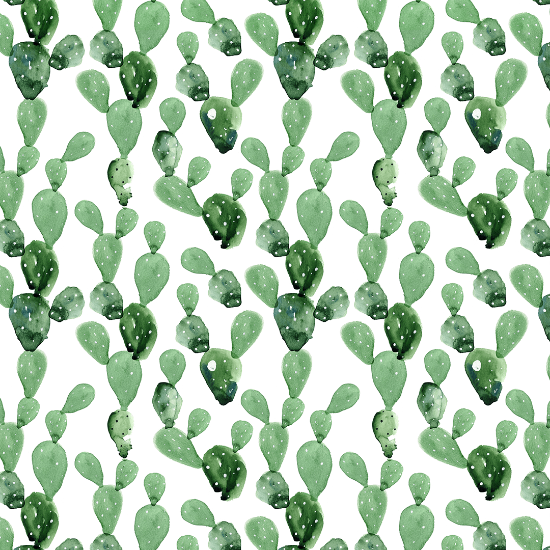 22 Cactus Wallpapers  WallpaperSafari