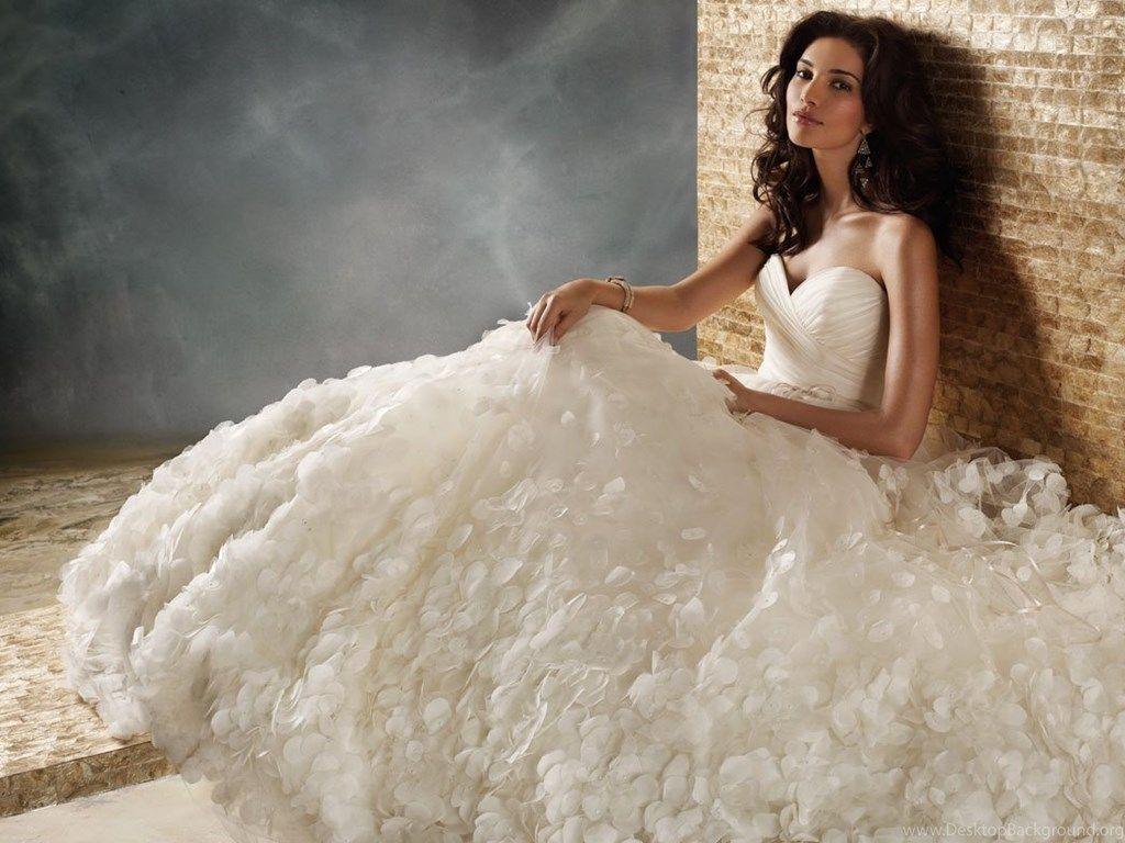 Amazing Cocktail Dress Wedding Capture in HD Amazing Cocktail Dress Wedding Capture in HD