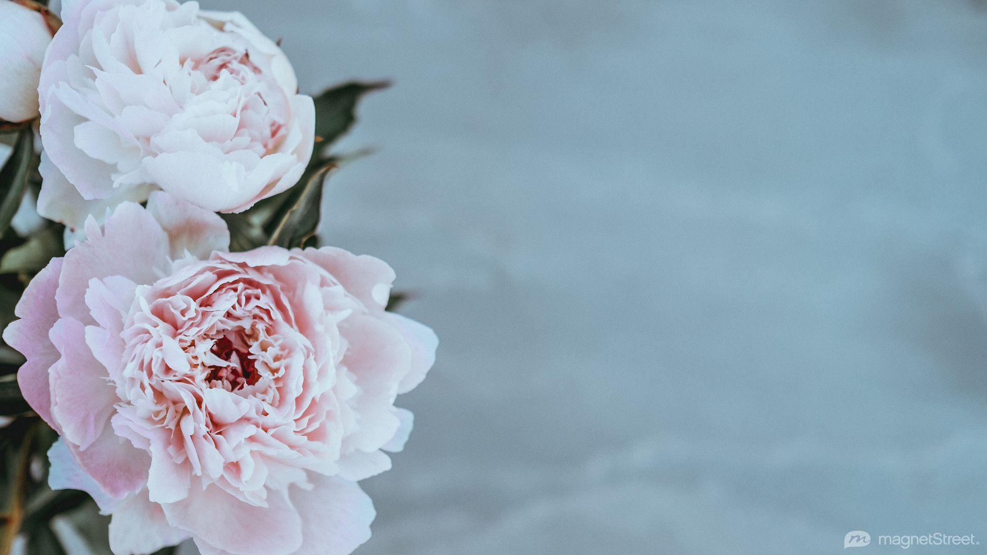 1920x1080 Wedding Wallpaper