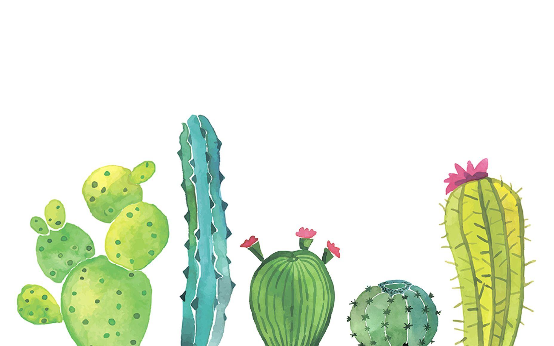 Cactus Desktop Wallpapers - Top Free Cactus Desktop Backgrounds -  WallpaperAccess