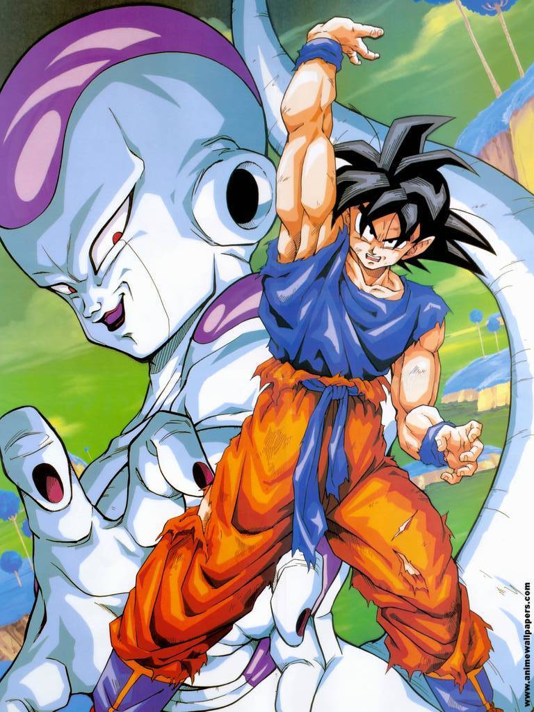 768x1024 Dragon Ball Z Goku E Freeza Wallpaper