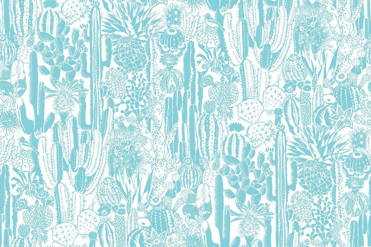1200x800 Cactus Spirit Wallpaper in Tequila design