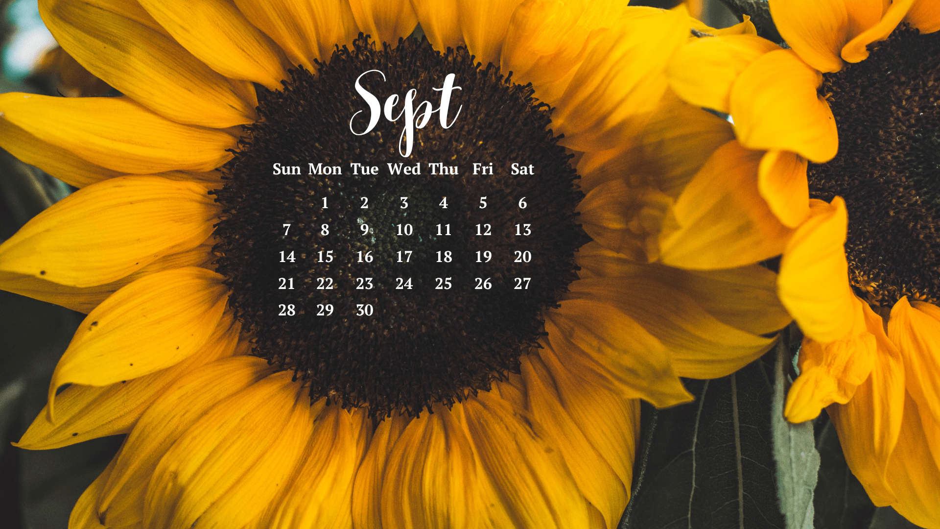 1920x1080 Free September 2025 Desktop Calendar Background (EASY DOWNLOAD)