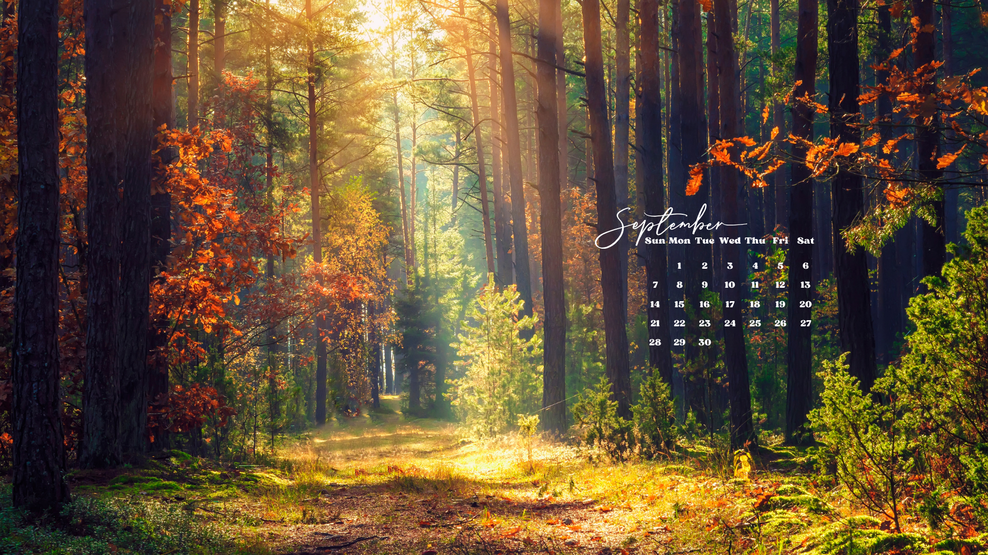 1920x1080 Free September 2025 Desktop Calendar Background (EASY DOWNLOAD)