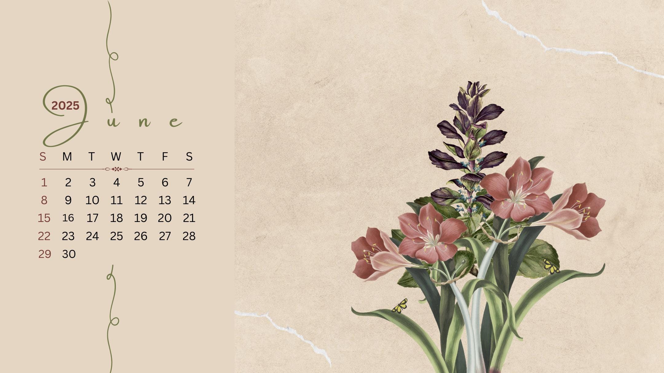 2160x1215 Wallpaper Organizer. Floral Patterned Desktop. Desktop Calendar Wallpaper Calendar Wallpaper Desktop Calendar Organizer