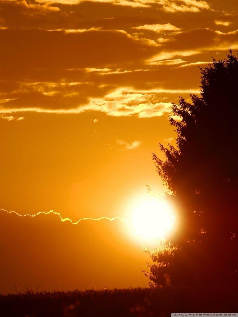 768x1024 The Rays Of The Setting Sun Sundown Ultra HD Desktop Background