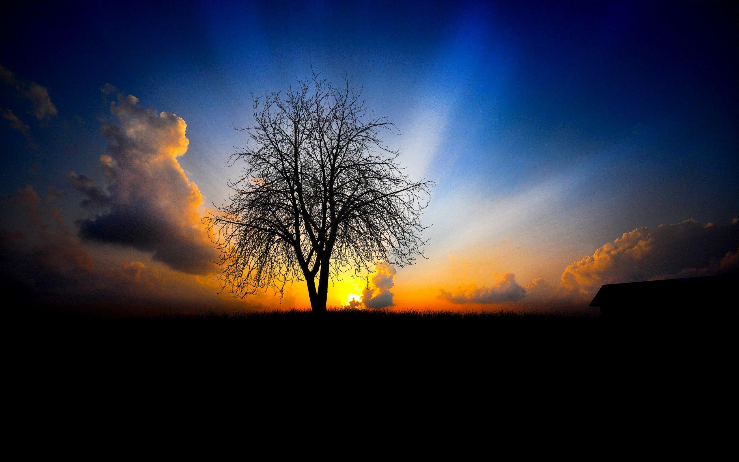 2560x1600 Morning Sun Wallpaper, Picture, Image